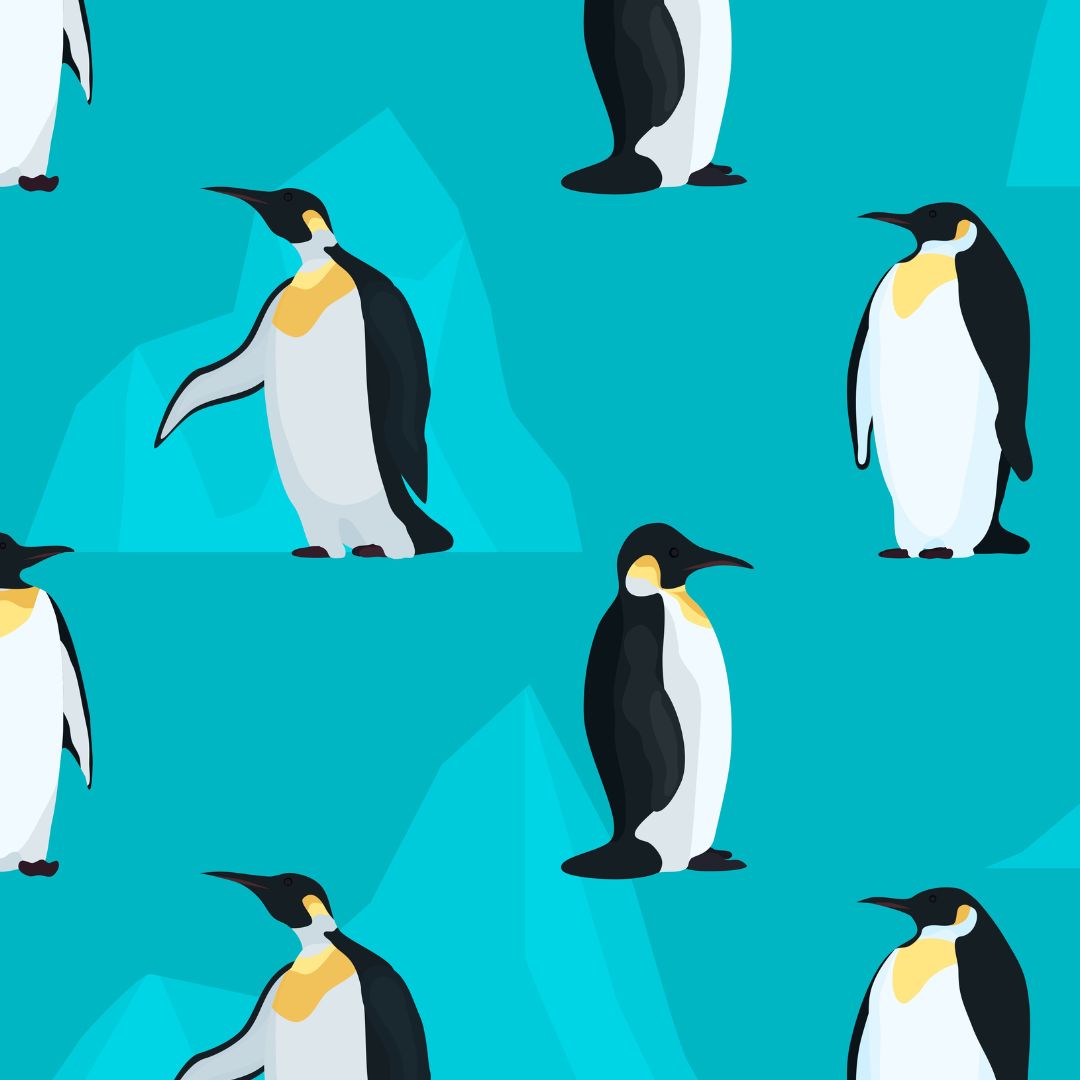 Penguin Print Collection