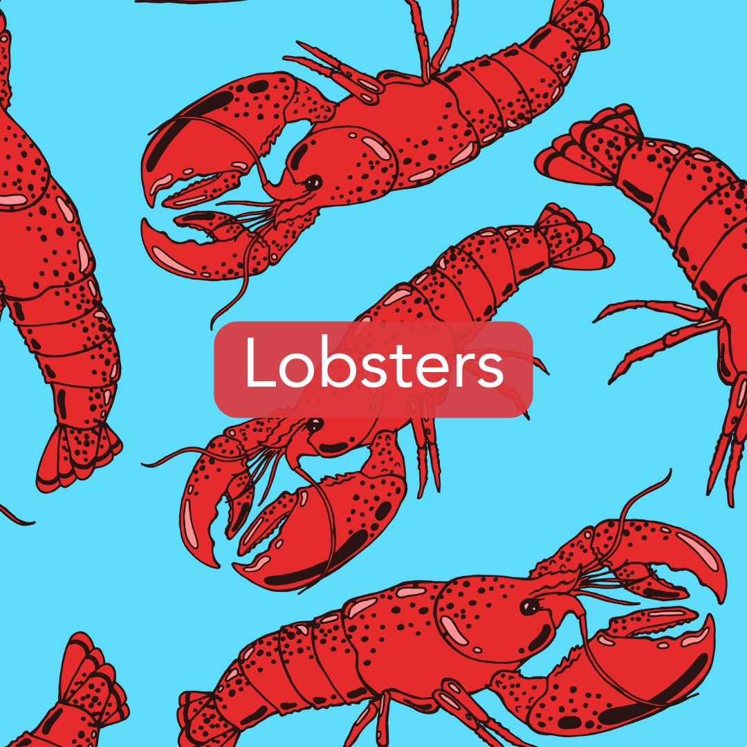 Lobster Print Collection