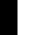 alt-tag