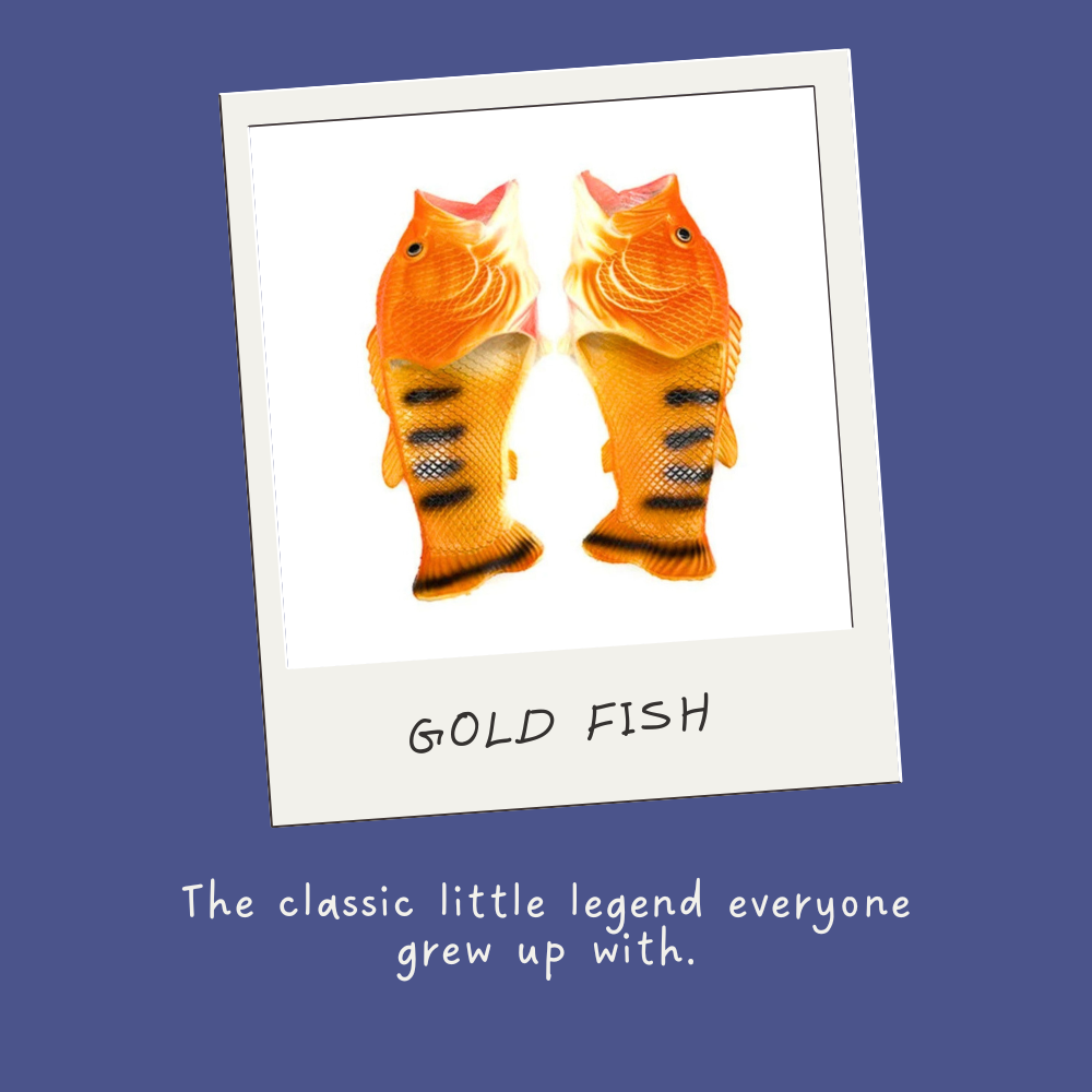 Orange Goldfish| Fish Flip Flop Slops/ Slippers