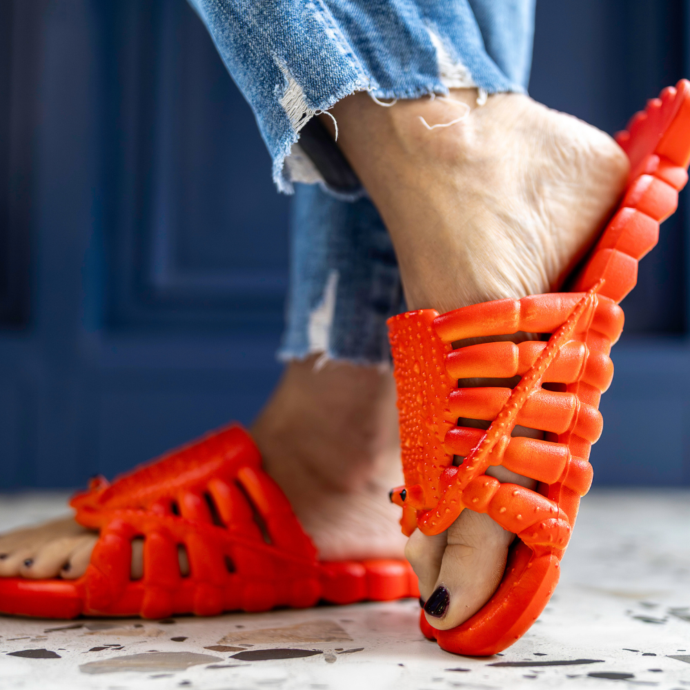 Kreef Lobster Crayfish| Fish Flip Flop Slops/ Slippers